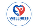 WELLNESS HEALTH LLC